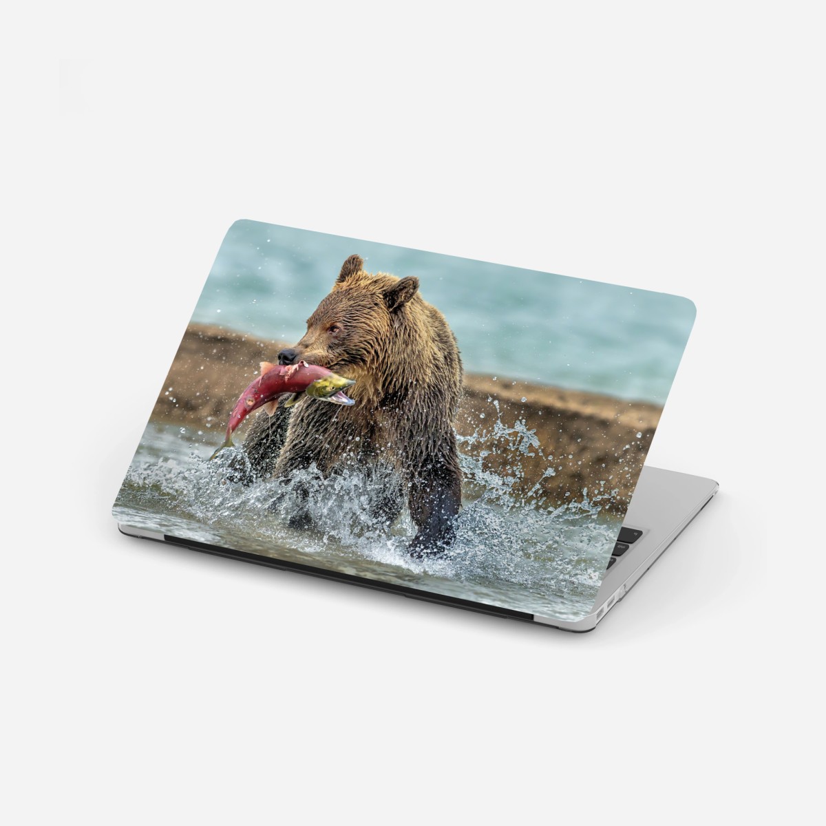 Adesivo per laptop orso bruno in azione con un salmone • Wallissimo®