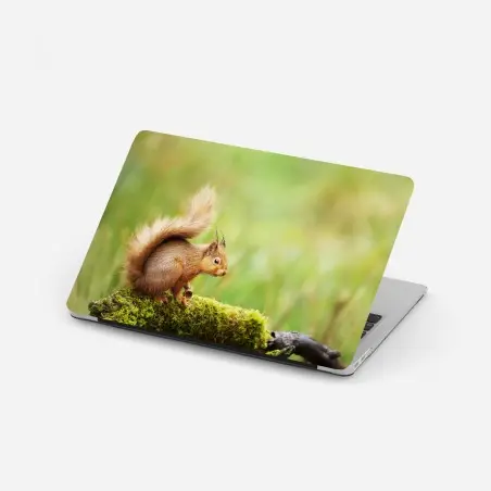 Adesivo per laptop scoiattolo rosso nel bosco • Wallissimo®