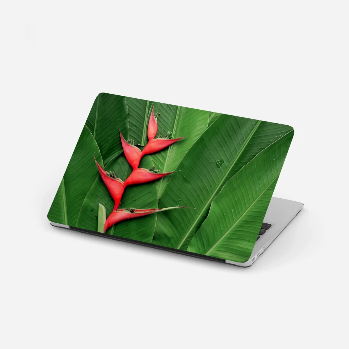 Adesivo per laptop heliconia: contrasto rosso su foglie tropicali • Wallissimo® Adesivo per laptop heliconia: contrasto rosso su foglie tropicali • Wallissimo®