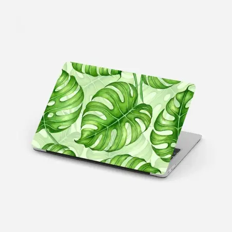 Adesivo per laptop motivo botanico di foglie di monstera in acquerello • Wallissimo®