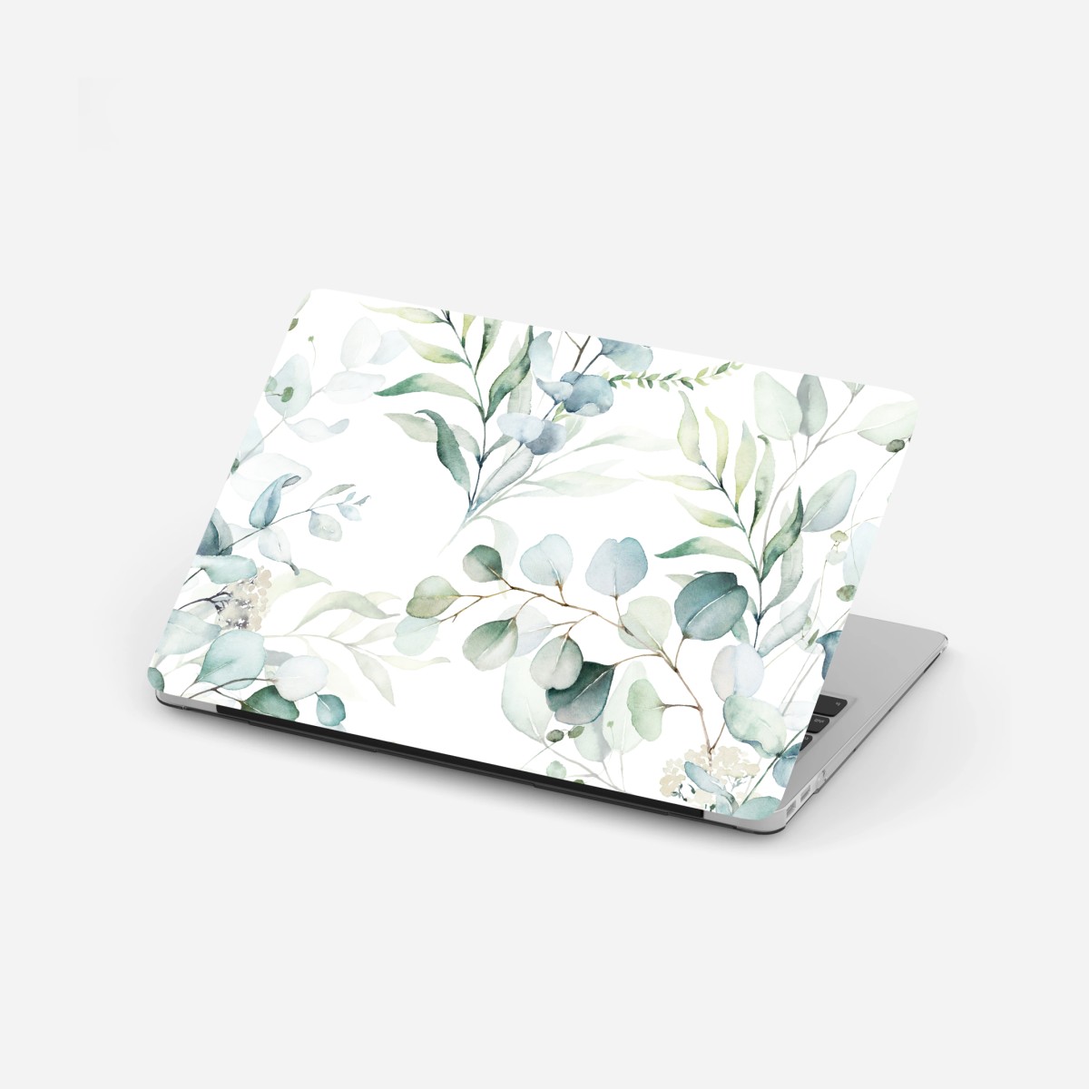 Adesivo per laptop motivo botanico di eucalipto acquerellato • Wallissimo®