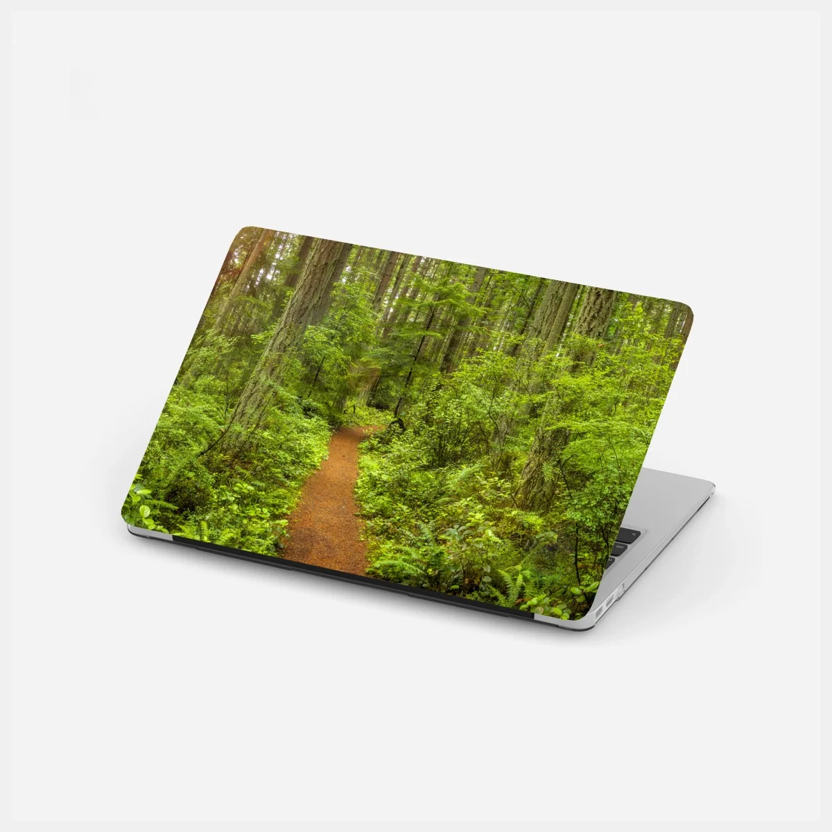 Adesivo per laptop sentiero incantato nella foresta verde • Wallissimo® Adesivo per laptop sentiero incantato nella foresta verde • Wallissimo®