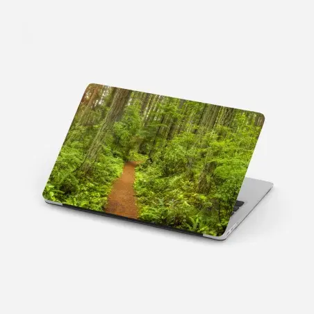Adesivo per laptop sentiero incantato nella foresta verde • Wallissimo®