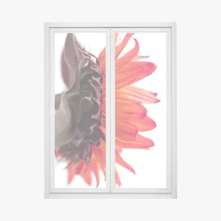 Adesivo per finestra girasole arancione in dettaglio • Wallissimo®