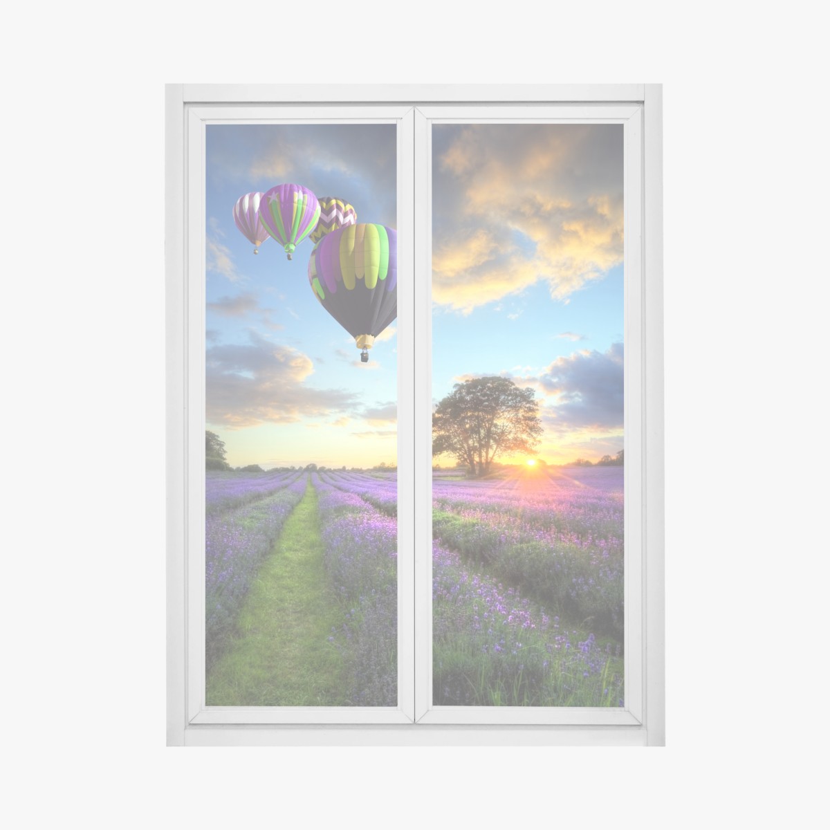 Adesivo per finestra tramonto di lavanda e mongolfiere sulla campagna • Wallissimo®