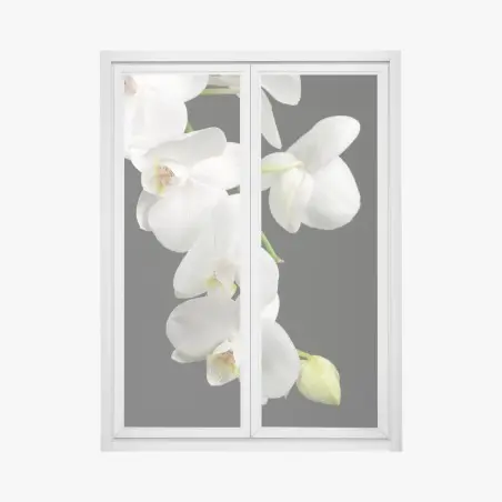 Adesivo per finestra eleganza di orchidee bianche su sfondo nero • Wallissimo®