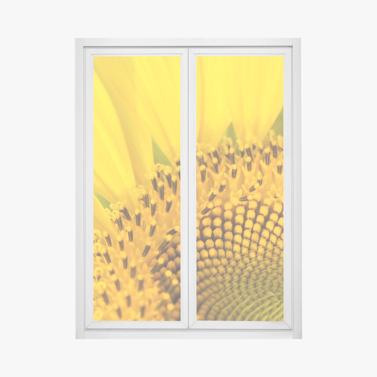 Adesivo per finestra girasole in macro spirale dorata • Wallissimo®