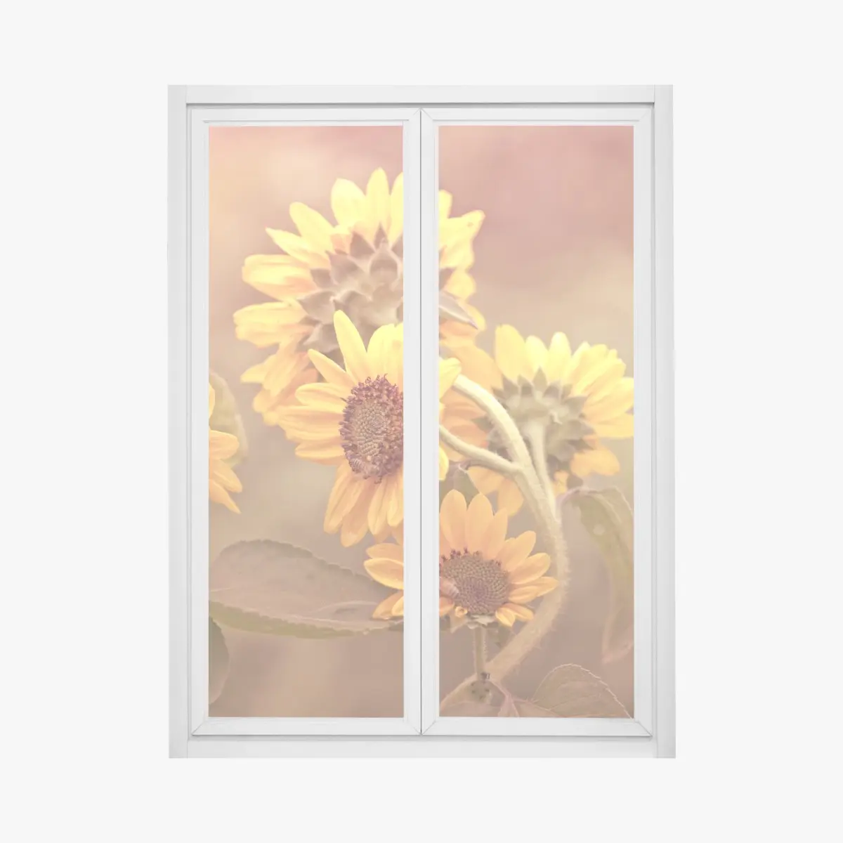 Adesivo per finestra girasoli vintage al tramonto • Wallissimo®