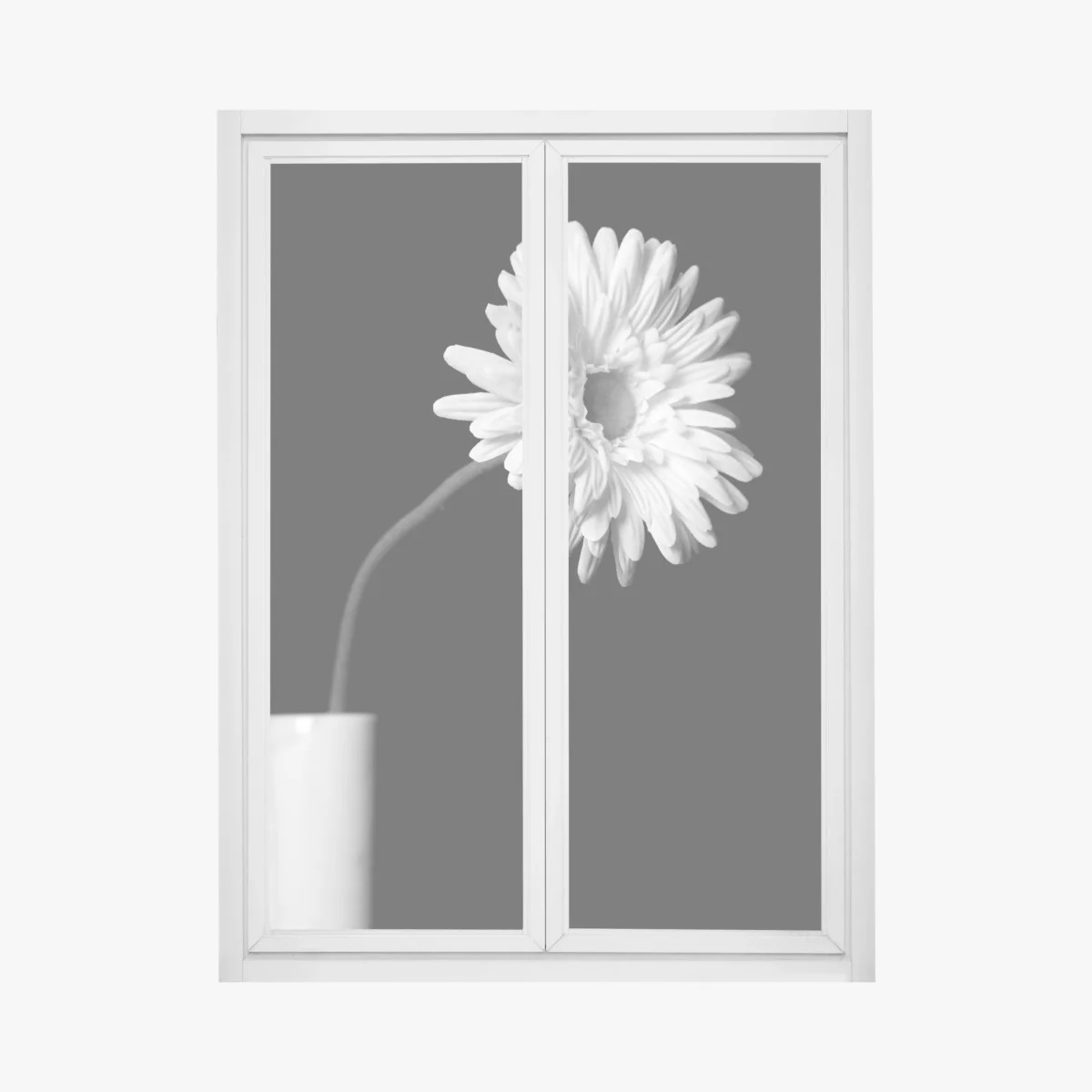 Adesivo per finestra gerbera bianca su sfondo nero • Wallissimo® Adesivo per finestra gerbera bianca su sfondo nero • Wallissimo®