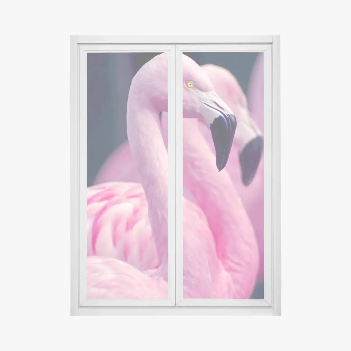 Adesivo per finestra eleganza rosa: profilo di fenicotteri • Wallissimo®