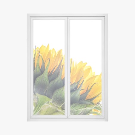 Adesivo per finestra girasole in controluce su sfondo bianco • Wallissimo®