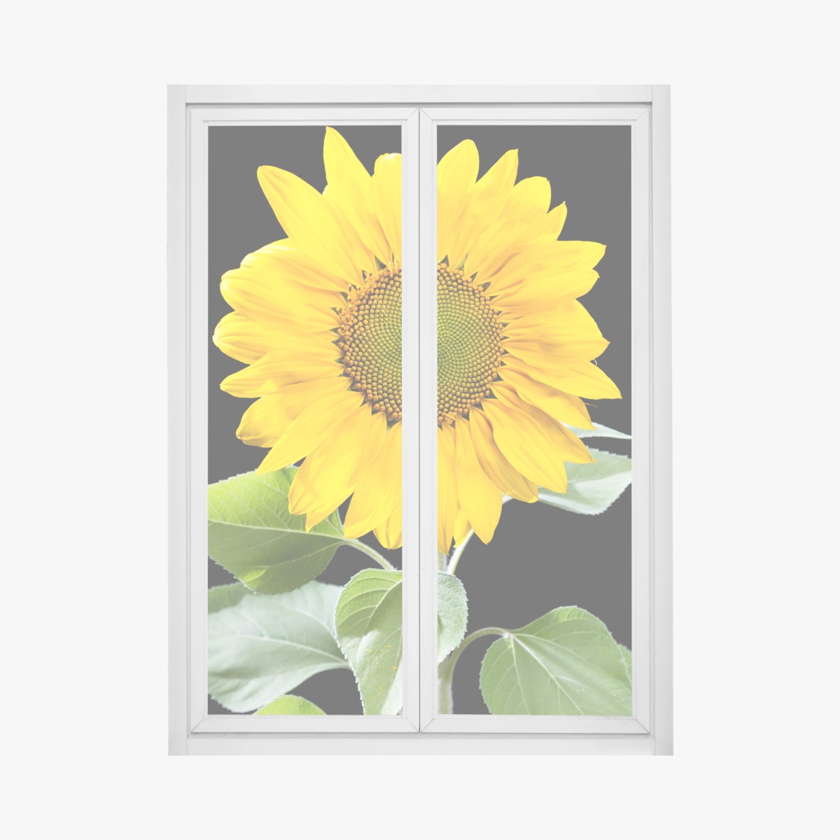 Adesivo per finestra girasole dorato su sfondo nero • Wallissimo®