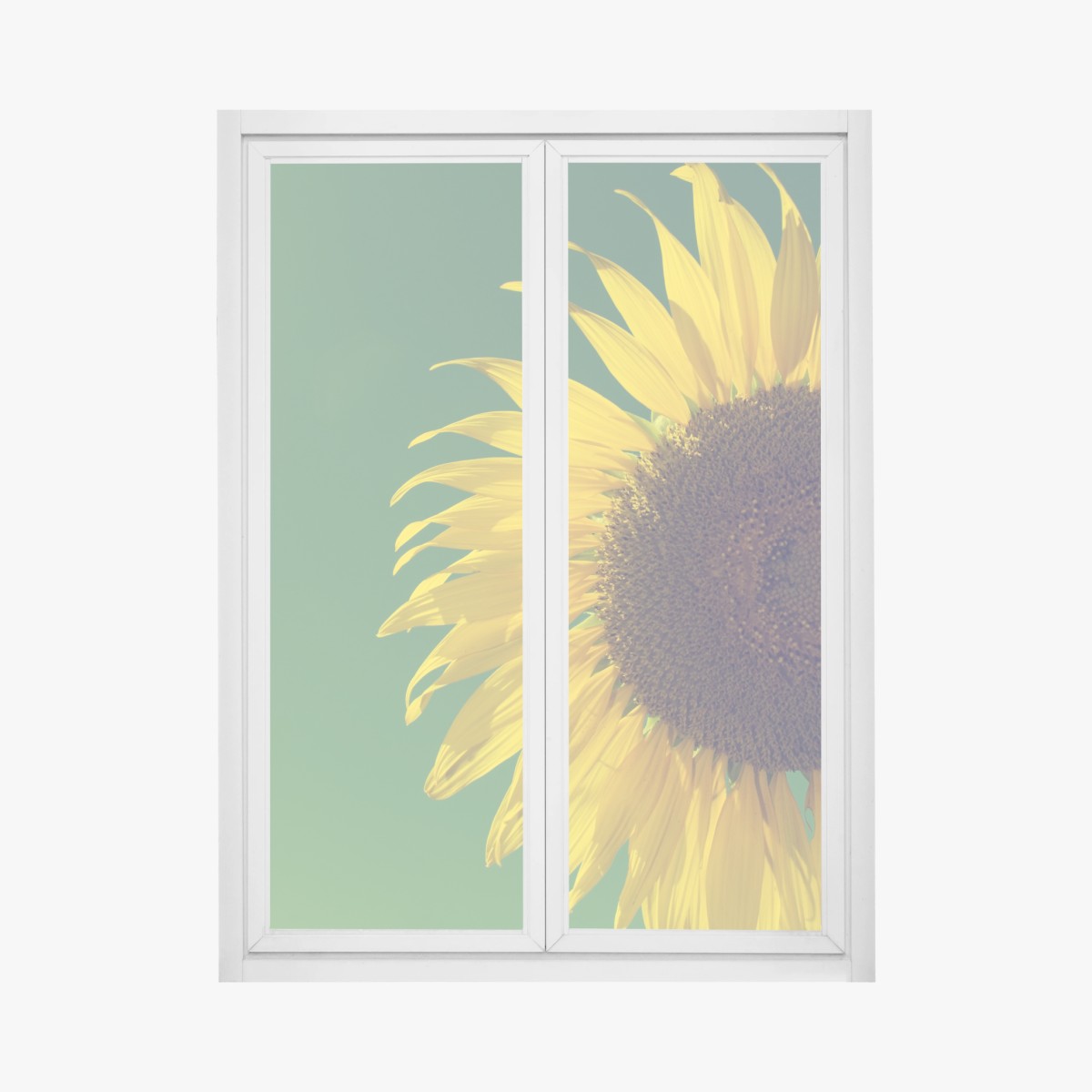 Adesivo per finestra girasole vintage su cielo verde • Wallissimo®