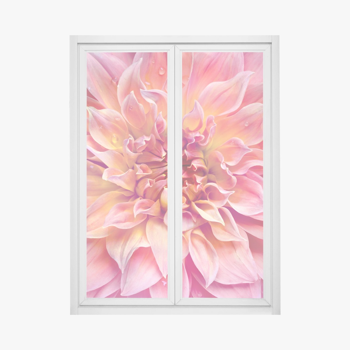 Adesivo per finestra dettaglio floreale nei toni rosa e gialli • Wallissimo®