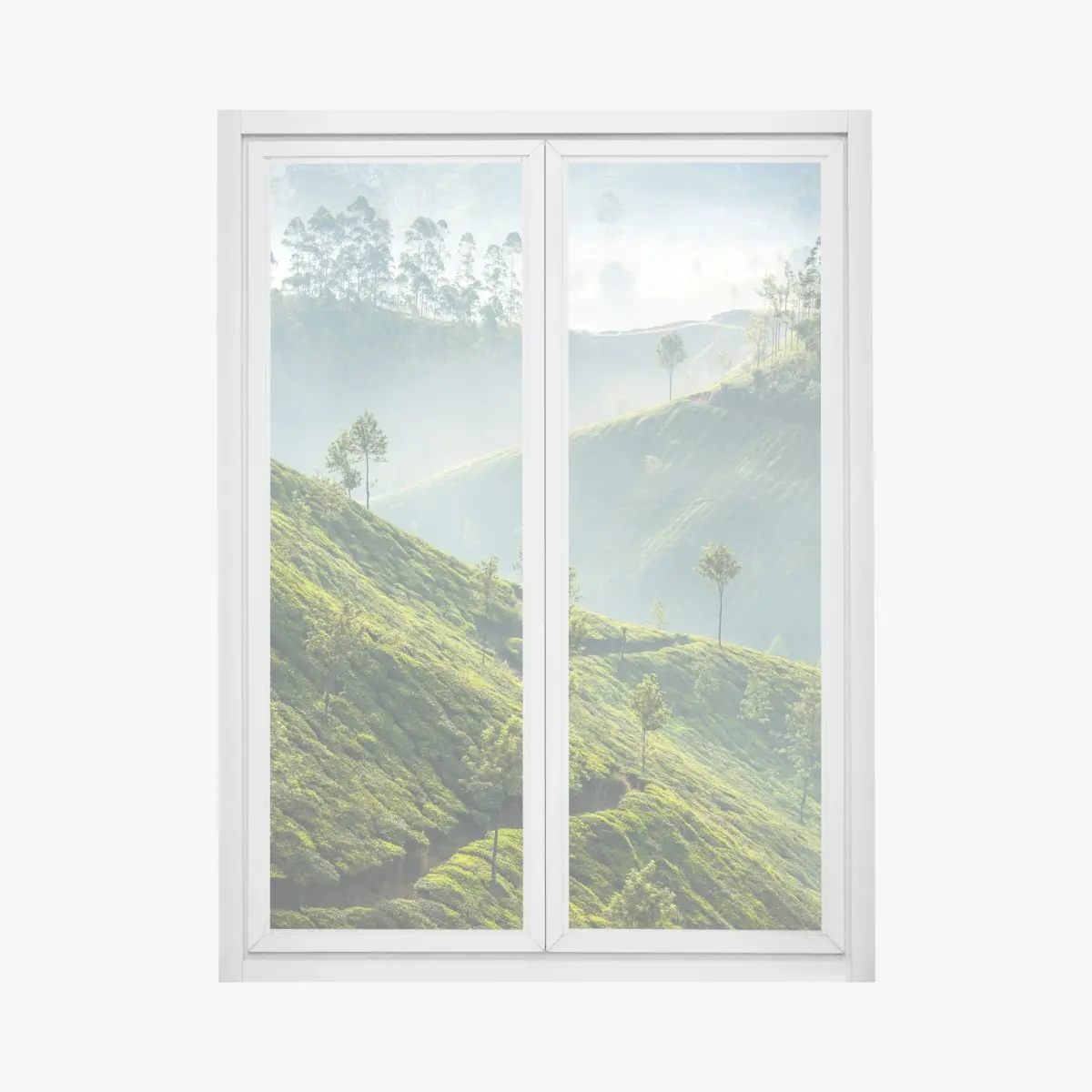 Adesivo per finestra paesaggio verde delle piantagioni di tè a Munnar • Wallissimo®