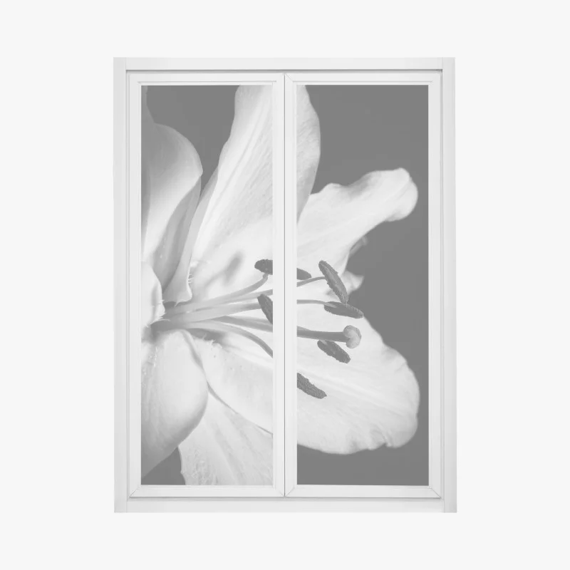 Adesivo per finestra eleganza floreale in bianco e nero