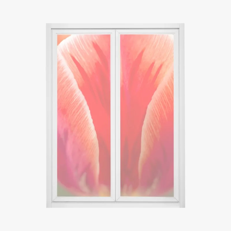 Adesivo per finestra petali di tulipano in primo piano