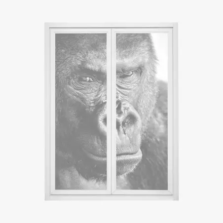 Adesivo per finestra ritratto intenso di gorilla in bianco e nero • Wallissimo®
