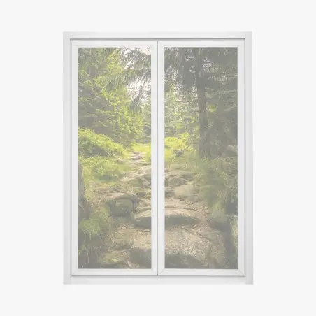 Adesivo per finestra sentiero roccioso nel bosco • Wallissimo®