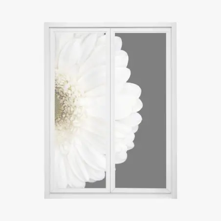 Adesivo per finestra gerbera bianca su sfondo nero • Wallissimo®