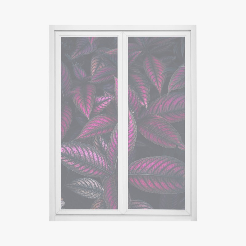 Adesivo per finestra motivo botanico con foglie magenta