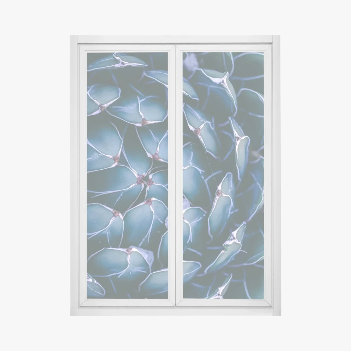 Adesivo per finestra geometria botanica di agave • Wallissimo® Adesivo per finestra geometria botanica di agave • Wallissimo®