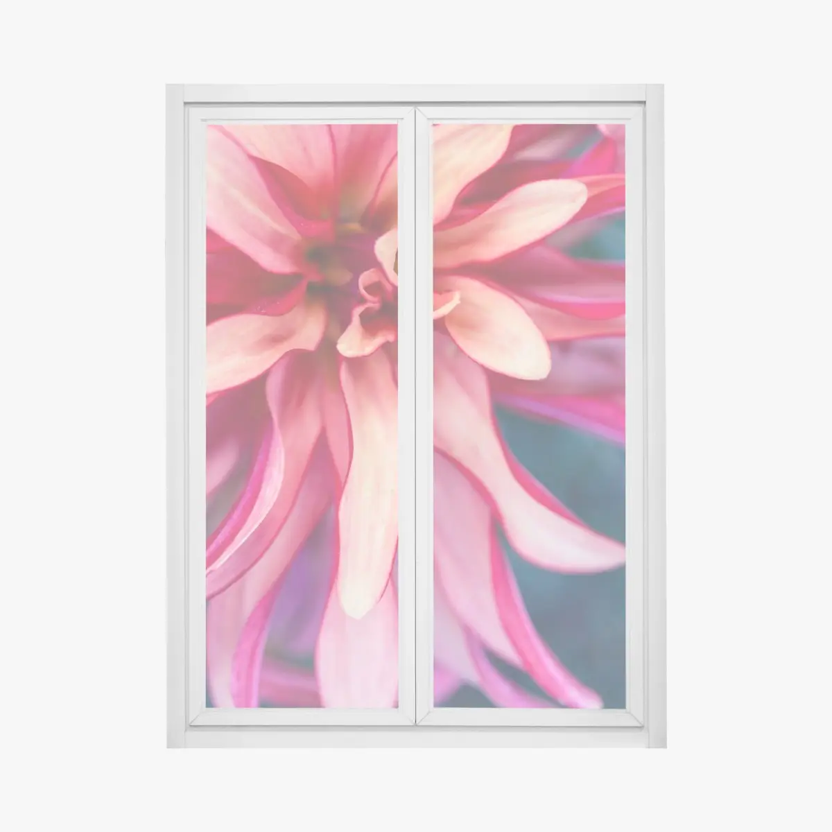 Adesivo per finestra petali in rosa: dettaglio floreale astratto • Wallissimo®