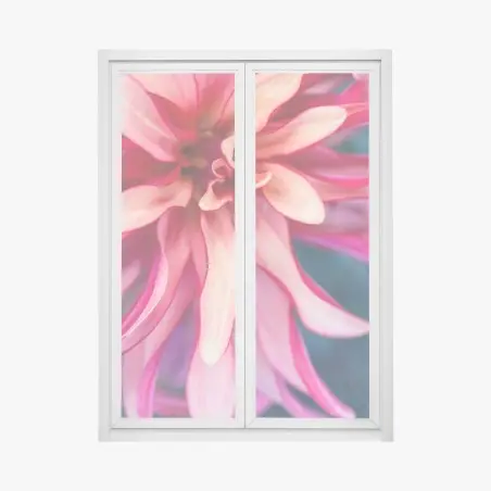 Adesivo per finestra petali in rosa: dettaglio floreale astratto • Wallissimo®