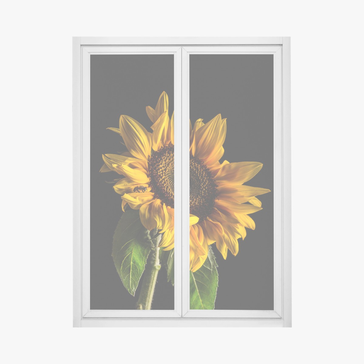 Adesivo per finestra girasole dorato su sfondo nero • Wallissimo®