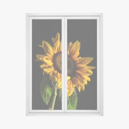 Adesivo per finestra girasole dorato su sfondo nero • Wallissimo®