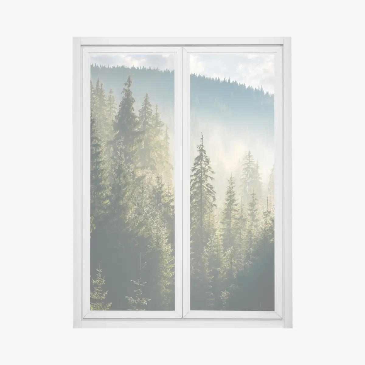 Adesivo per finestra foresta di abeti nella nebbia mattutina • Wallissimo®