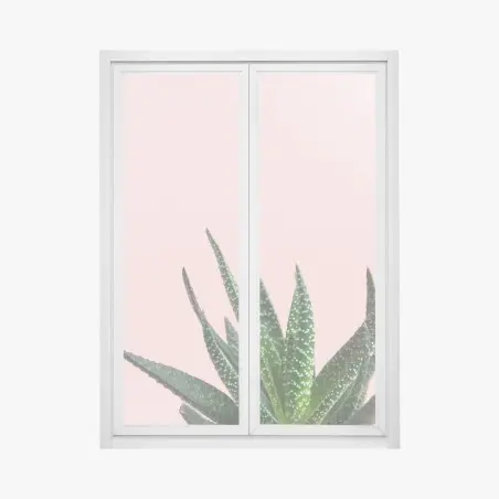 Adesivo per finestra aloe su sfondo rosa minimalista • Wallissimo®