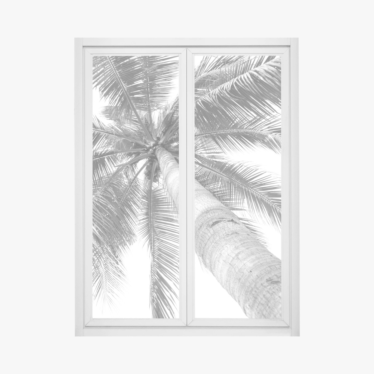 Adesivo per finestra palma vista dal basso in bianco e nero • Wallissimo®