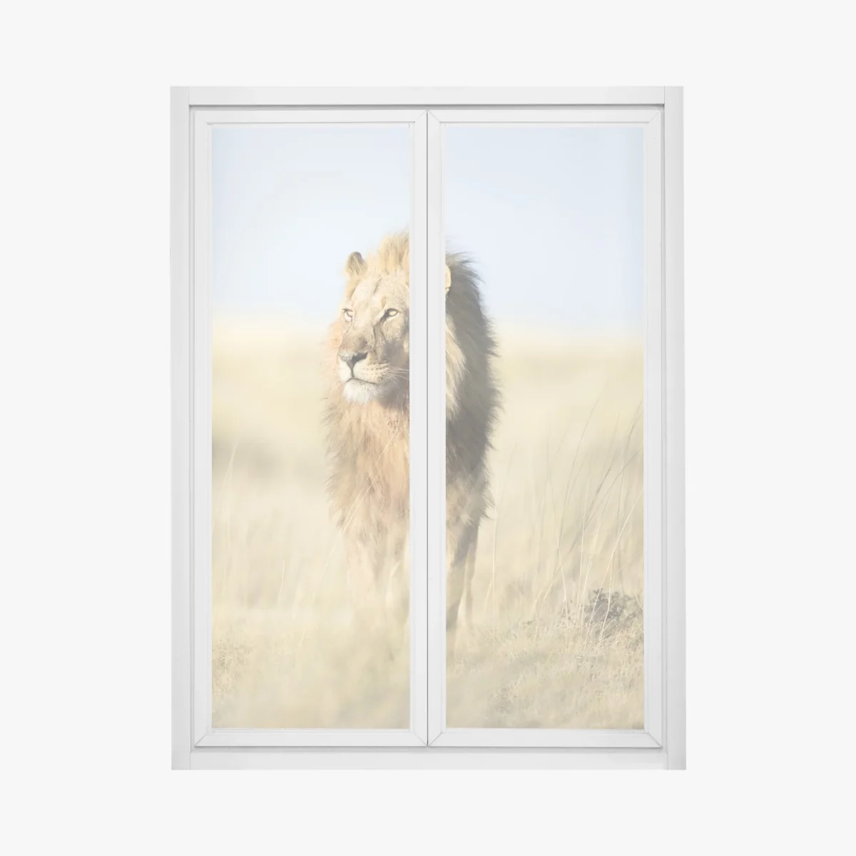 Adesivo per finestra il re della savana • Wallissimo® Adesivo per finestra il re della savana • Wallissimo®