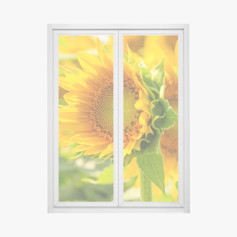Adesivo per finestra girasole in primo piano dal colore solare