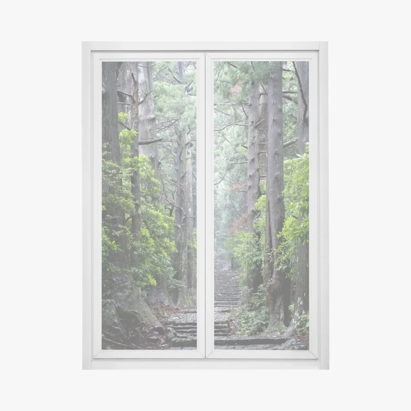 Adesivo per finestra sentiero silenzioso nella foresta secolare
