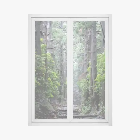 Adesivo per finestra sentiero silenzioso nella foresta secolare • Wallissimo®