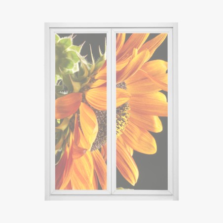 Adesivo per finestra girasole arancione in primo piano • Wallissimo®