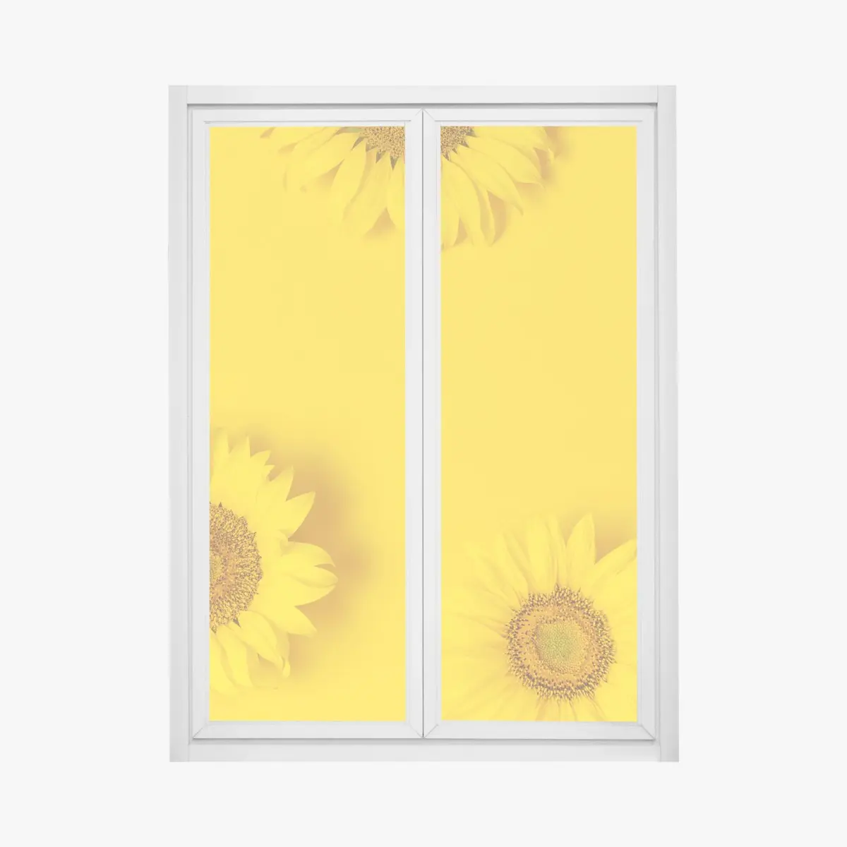 Adesivo per finestra girasoli su sfondo giallo brillante • Wallissimo®
