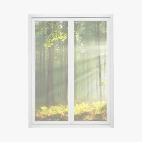 Adesivo per finestra mattina autunnale nella foresta antica • Wallissimo®