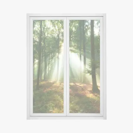 Adesivo per finestra mattino nel bosco: raggi di luce tra gli alberi • Wallissimo®