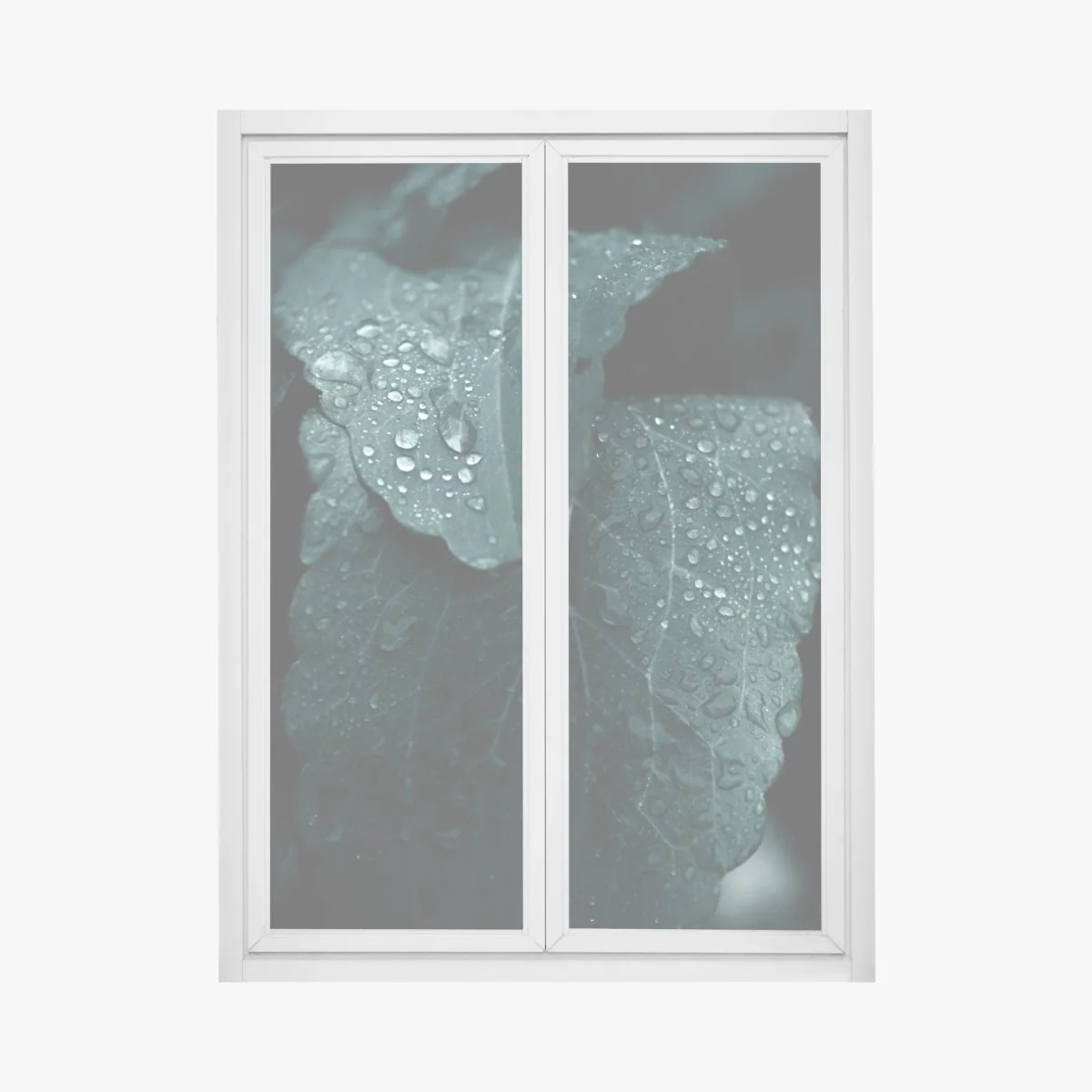 Adesivo per finestra dettaglio botanico: foglia con gocce • Wallissimo® Adesivo per finestra dettaglio botanico: foglia con gocce • Wallissimo®