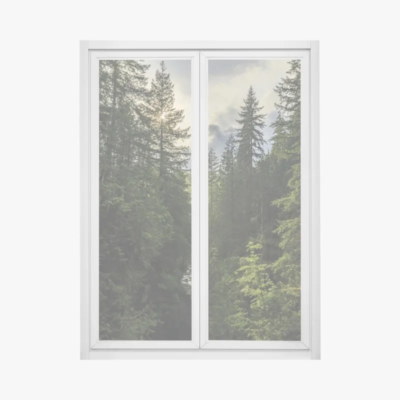 Adesivo per finestra luce dorata nella gola della foresta