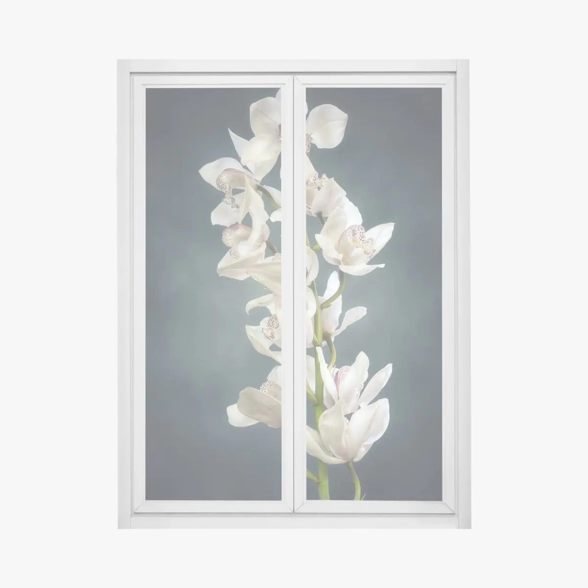 Adesivo per finestra ramo di orchidee bianche su sfondo scuro • Wallissimo®
