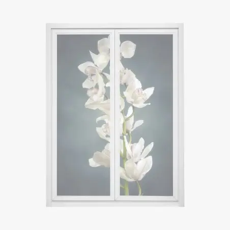 Adesivo per finestra ramo di orchidee bianche su sfondo scuro • Wallissimo®