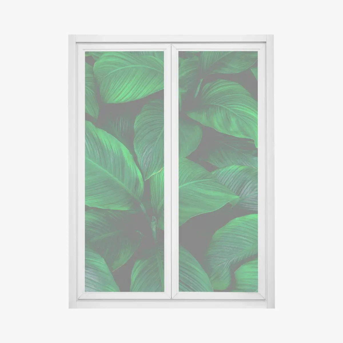 Adesivo per finestra oasi verde: foglie tropicali in primo piano • Wallissimo®