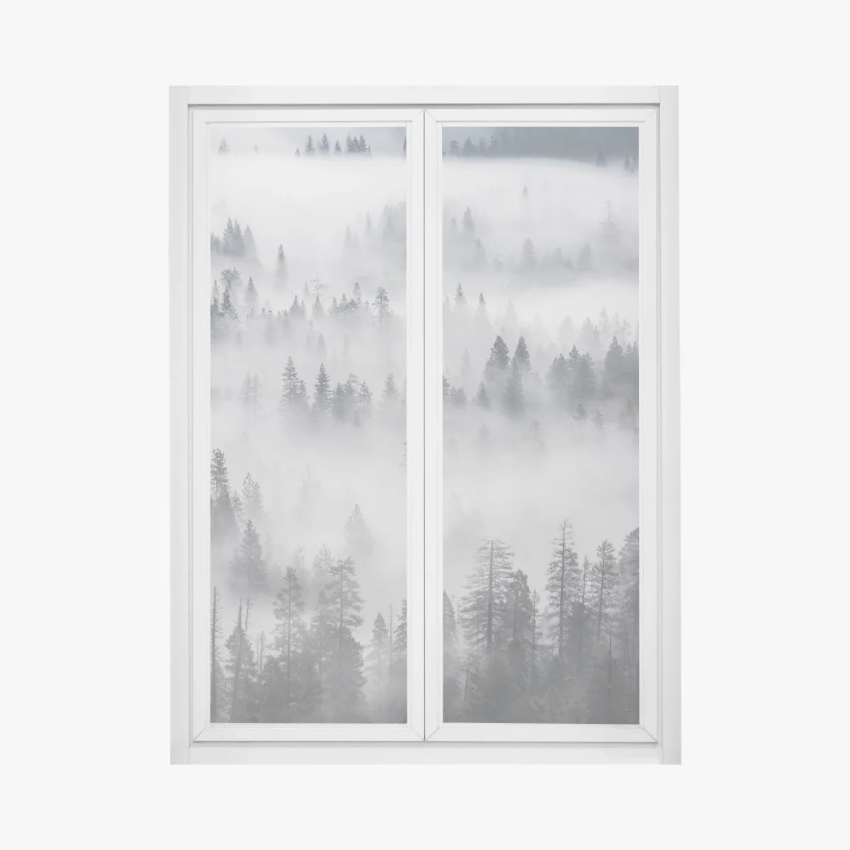 Adesivo per finestra foresta avvolta nella nebbia • Wallissimo® Adesivo per finestra foresta avvolta nella nebbia • Wallissimo®