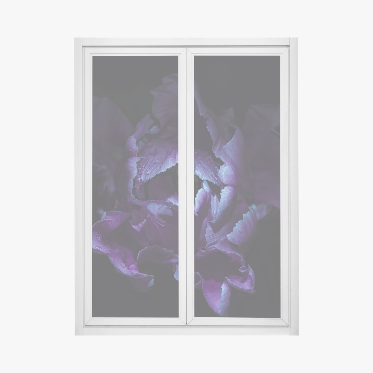 Adesivo per finestra tulipano viola in luce ultravioletta • Wallissimo®