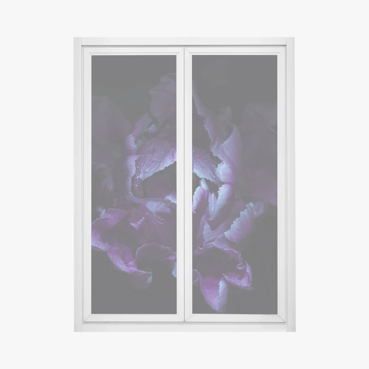 Adesivo per finestra tulipano viola in luce ultravioletta • Wallissimo® Adesivo per finestra tulipano viola in luce ultravioletta • Wallissimo®