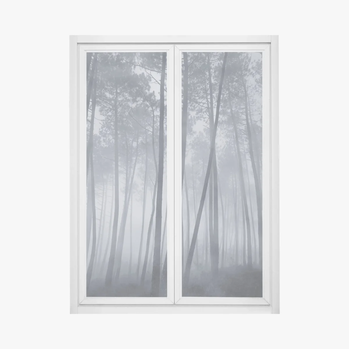 Adesivo per finestra foresta di pini nella nebbia notturna • Wallissimo® Adesivo per finestra foresta di pini nella nebbia notturna • Wallissimo®